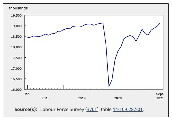 Labour-Force-Survey