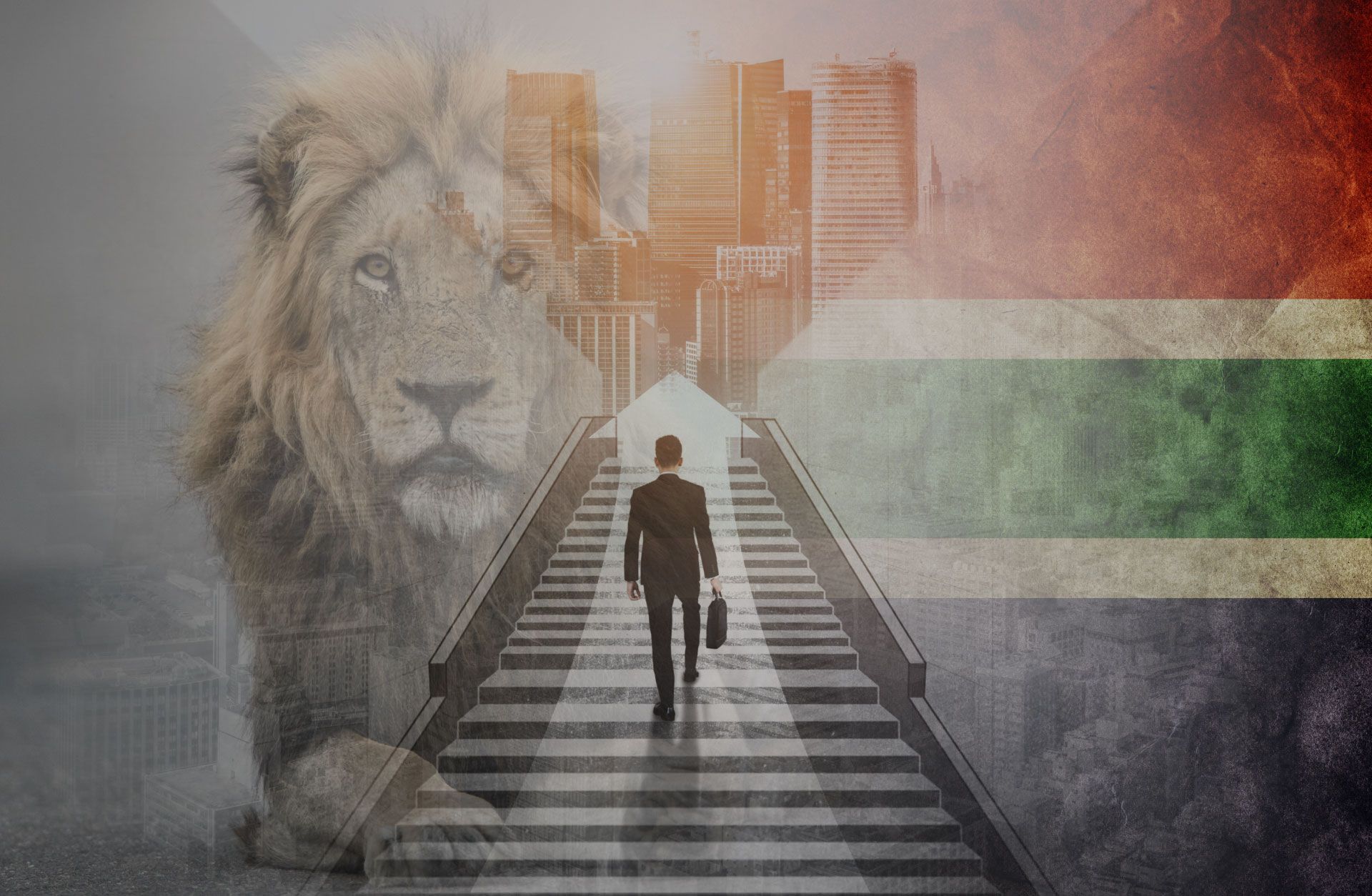 7 Facts Of South Africa Critical Skilled Visa (Job Seeker Visa) Kansas