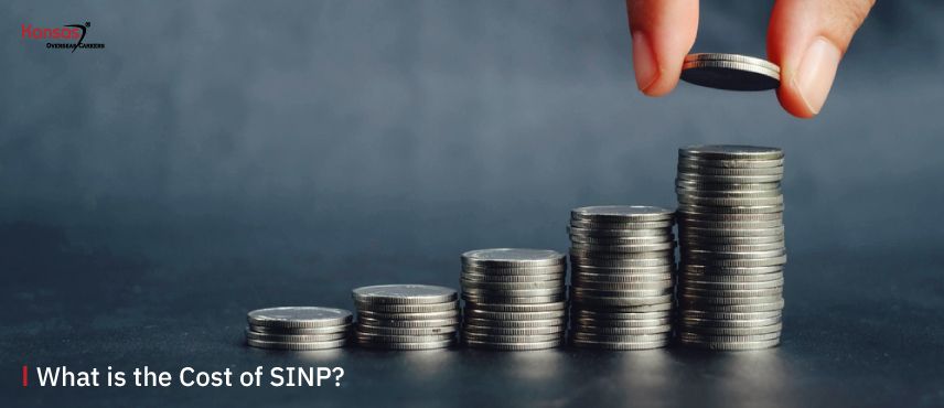 What-is-the-Cost-of-SINP-