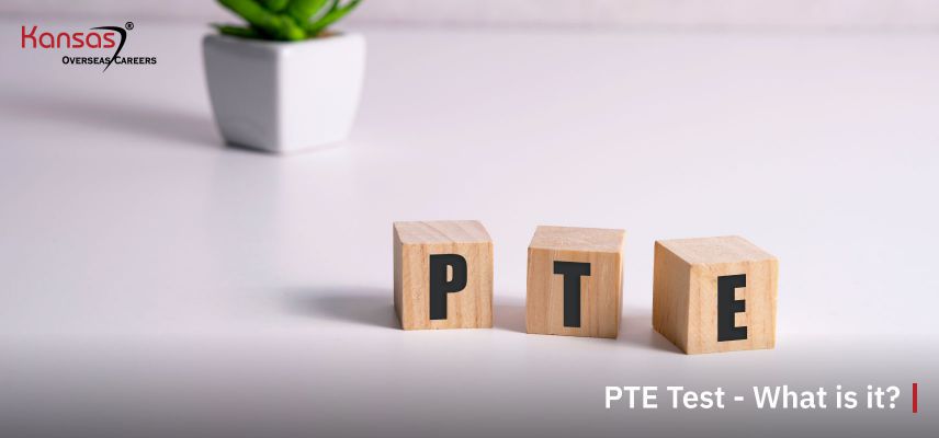 What-is-the-PTE-test