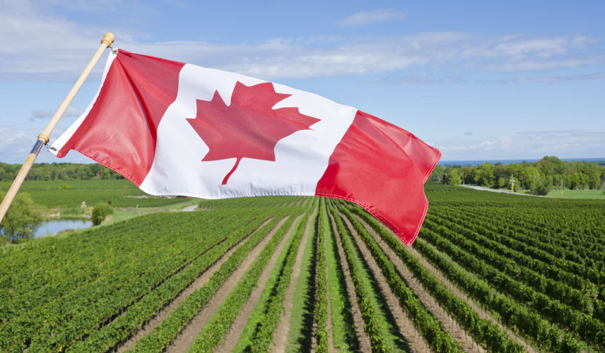 Canada's Express Entry Draw #267: Opportunities in Agriculture